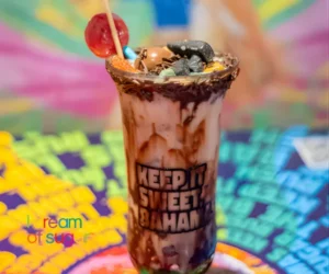 Close-up overhead view of a chocolate ice cream topped with chocolate sprinkles